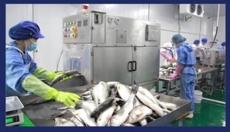 Food machinery workshop and processing equipment